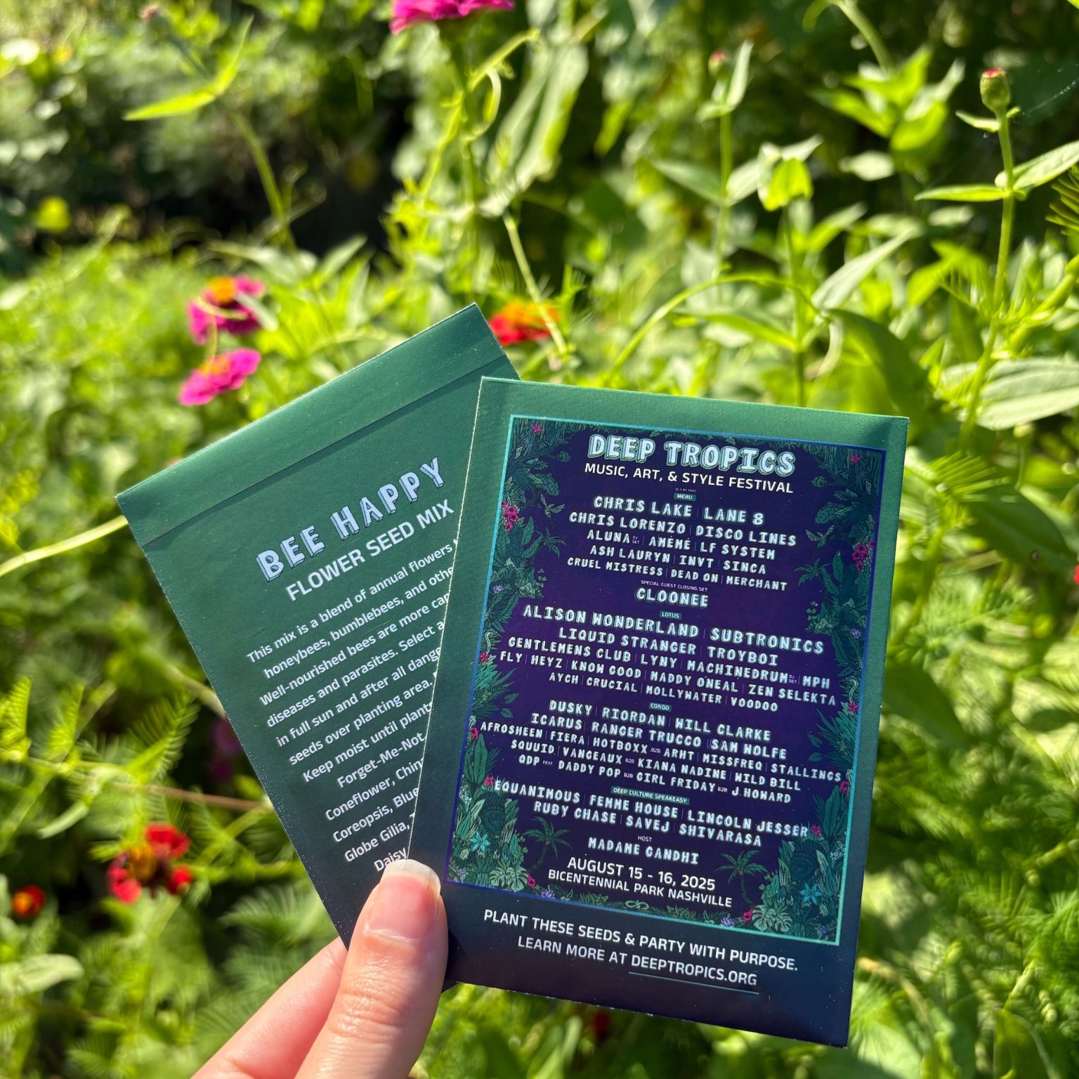 Cascade Equinox 2025 Reveals The Daily Lineup Magic! - The Festival Voice