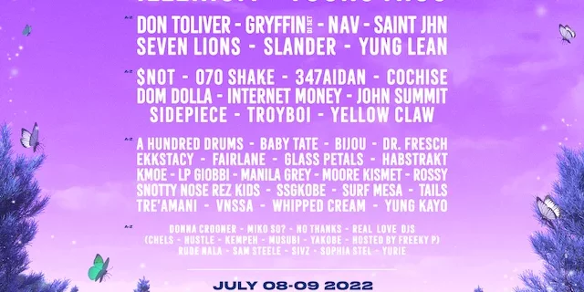 FVDED-in-the-park-2022-lineup-graphic--640x563