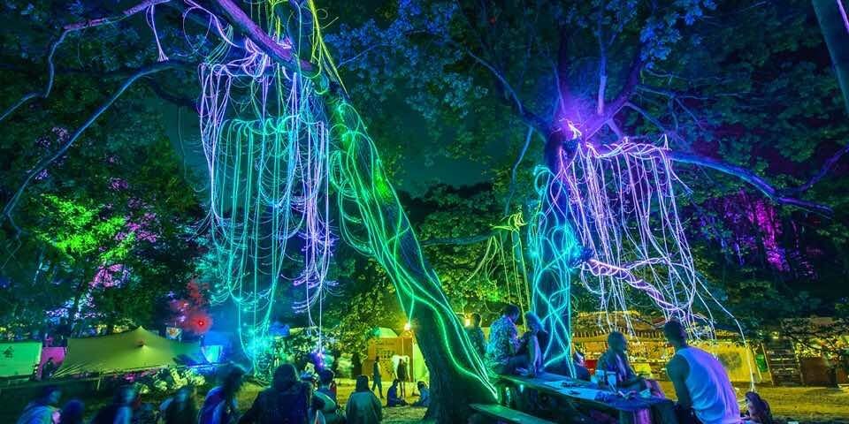 noisily-festival-magic-trees